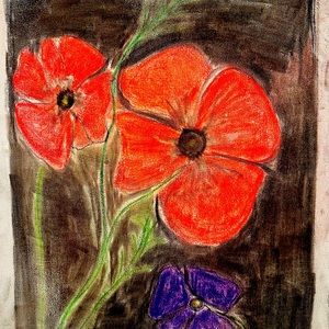 Poppy flower pastel